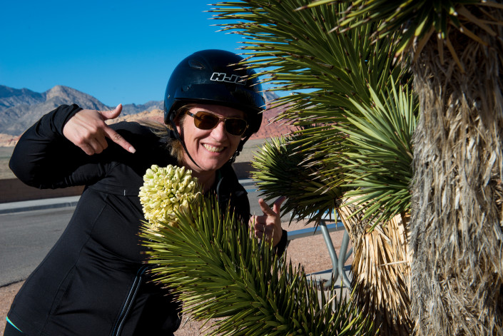 Joshua Tree on a Red Rock Scooter Tour